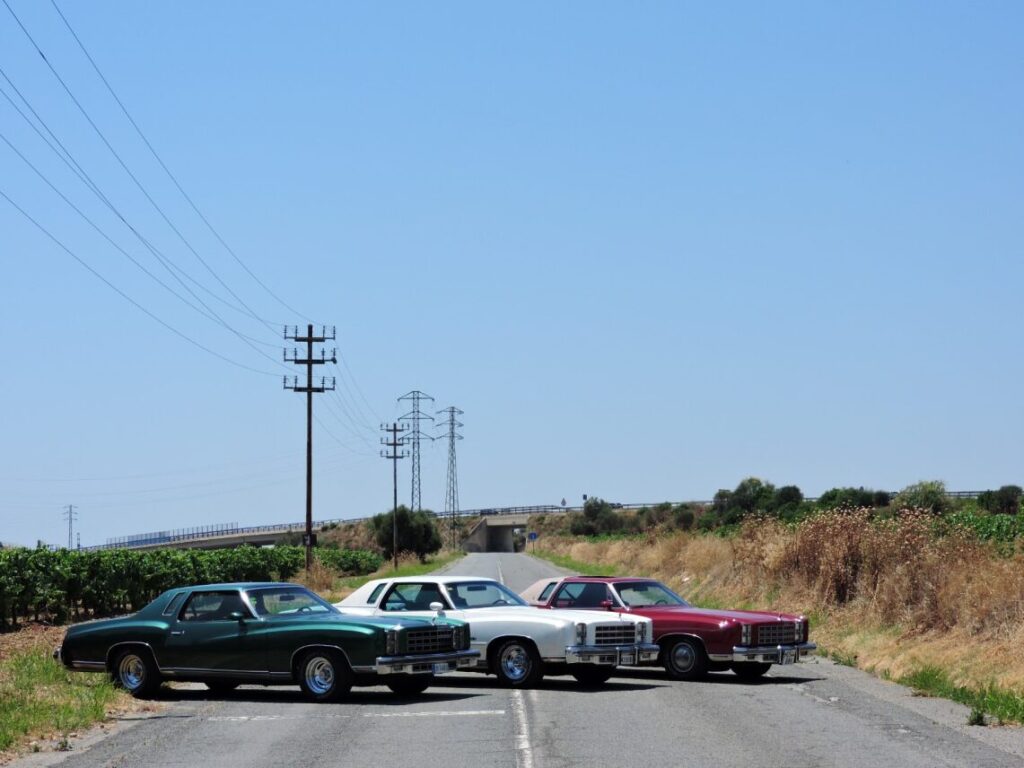 Chevrolet Monte Carlo 1977 color blanco rojo verde